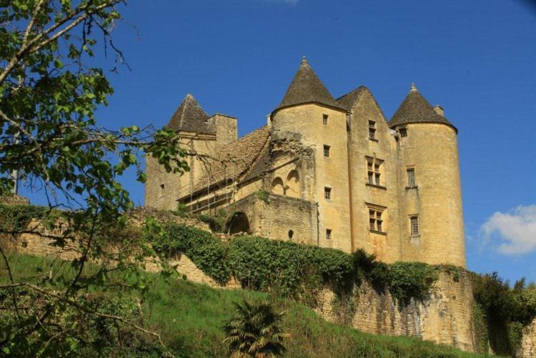 Petite Maison En Pierre Au Coeur Du Perigord Noir Proche De Sarlat Et Rocamadour Salignac Eyvigues 外观 照片