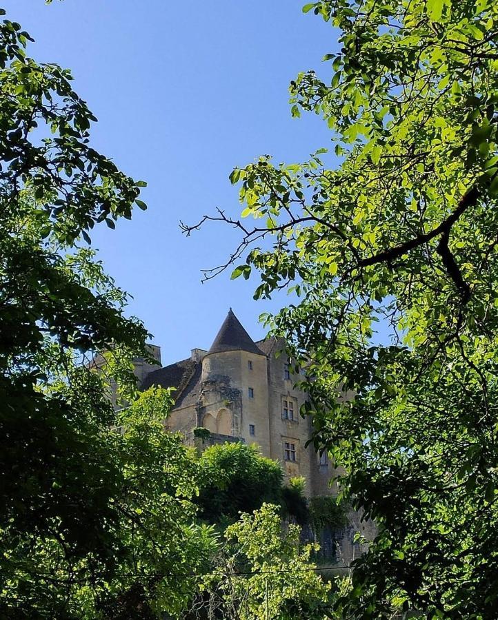 Petite Maison En Pierre Au Coeur Du Perigord Noir Proche De Sarlat Et Rocamadour Salignac Eyvigues 外观 照片