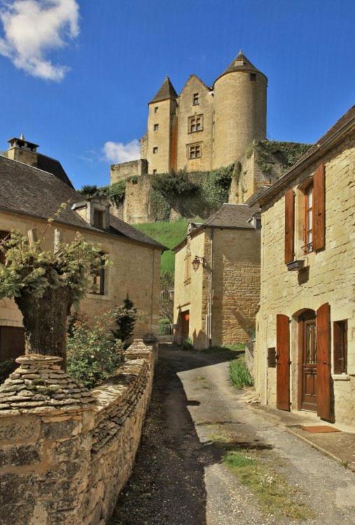 Petite Maison En Pierre Au Coeur Du Perigord Noir Proche De Sarlat Et Rocamadour Salignac Eyvigues 外观 照片