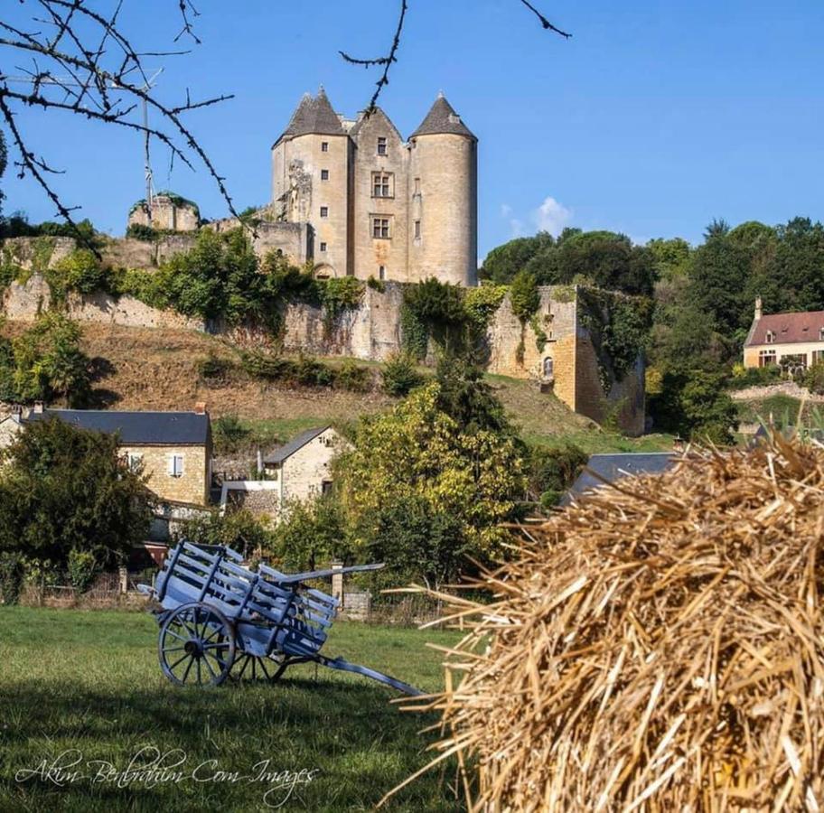 Petite Maison En Pierre Au Coeur Du Perigord Noir Proche De Sarlat Et Rocamadour Salignac Eyvigues 外观 照片