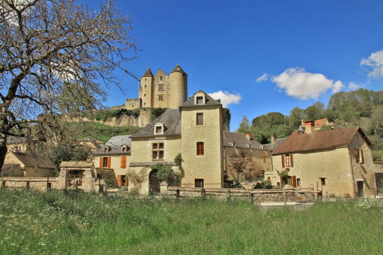 Petite Maison En Pierre Au Coeur Du Perigord Noir Proche De Sarlat Et Rocamadour Salignac Eyvigues 外观 照片