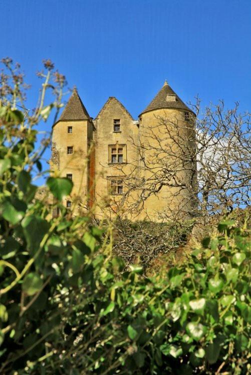 Petite Maison En Pierre Au Coeur Du Perigord Noir Proche De Sarlat Et Rocamadour Salignac Eyvigues 外观 照片